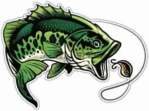 Pegatinas de pesca de percha,  - Laptop Accessories Box reseña y precio